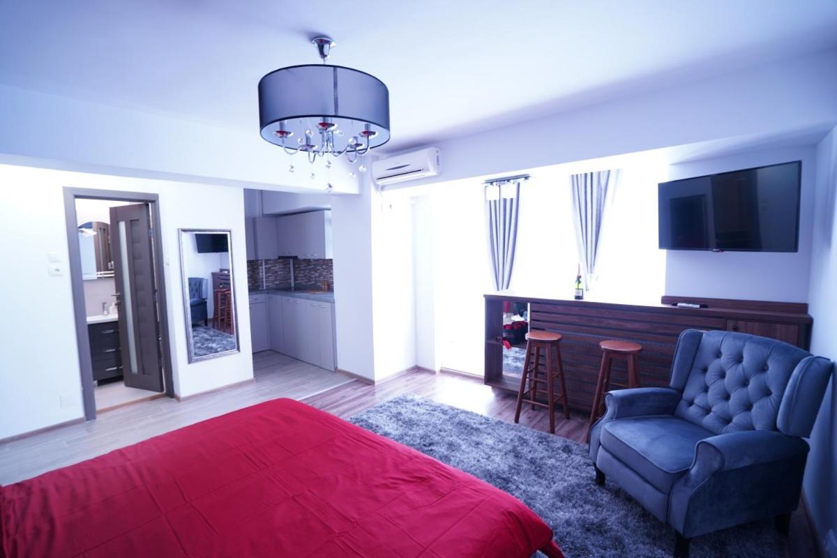Luxury 1Br Studio Near Hanul Drumetului ブカレスト エクステリア 写真