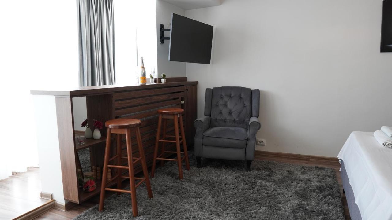 Luxury 1Br Studio Near Hanul Drumetului ブカレスト エクステリア 写真